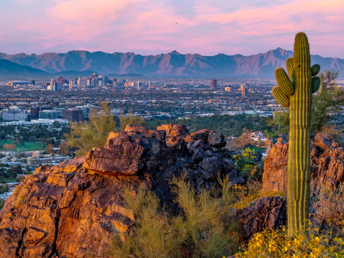 Formación SAAMA® Phoenix